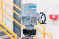 1664916668463-600x400 1664916668463-600x400